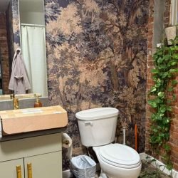 whatsapp image 2026 02 21 at 12.25.02 (1)